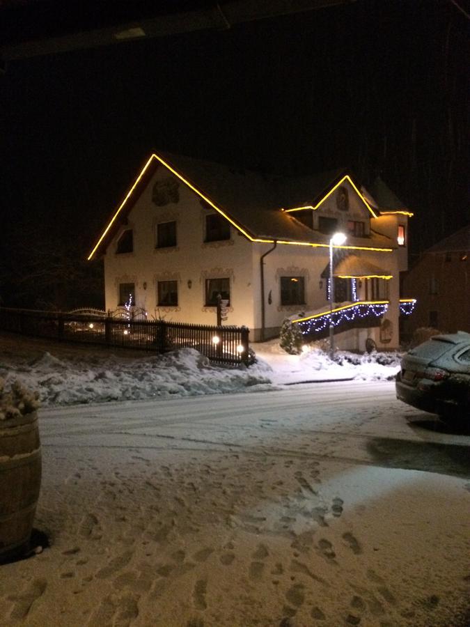 Hotel Alpenhof Markneukirchen Екстериор снимка