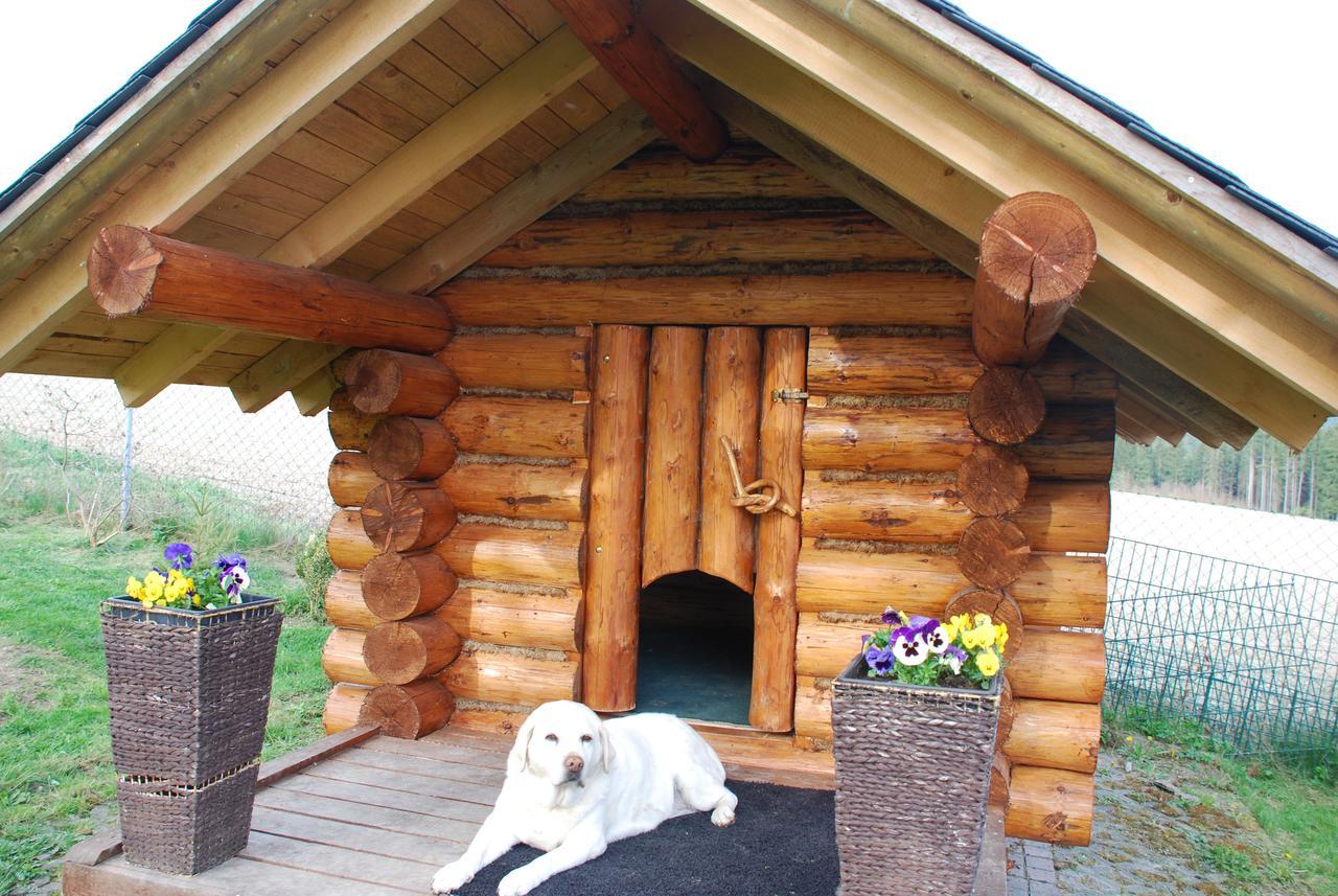 Hotel Alpenhof Markneukirchen Екстериор снимка